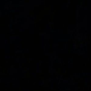 Meet your Posher, Ben